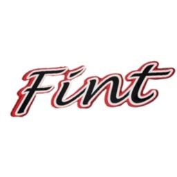 فنت
