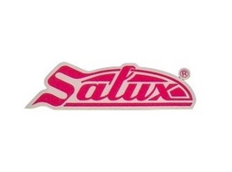 سالوكس