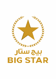بيج ستار